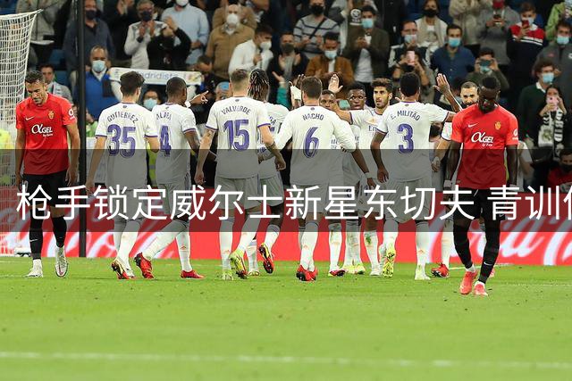 枪手锁定威尔士新星东切夫 青训体系再添潜力股
